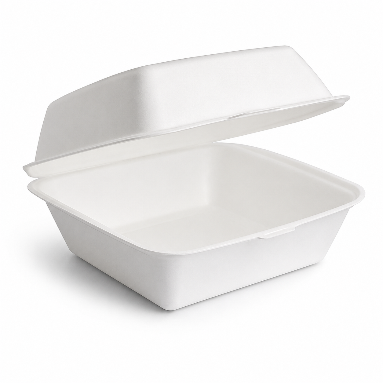 Disposable Tableware
